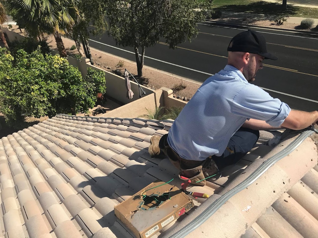Burns Pest Elimination project